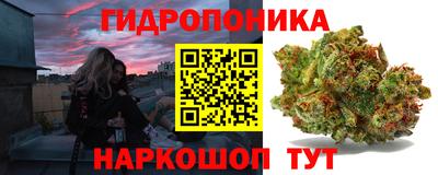 jwh Гатчина