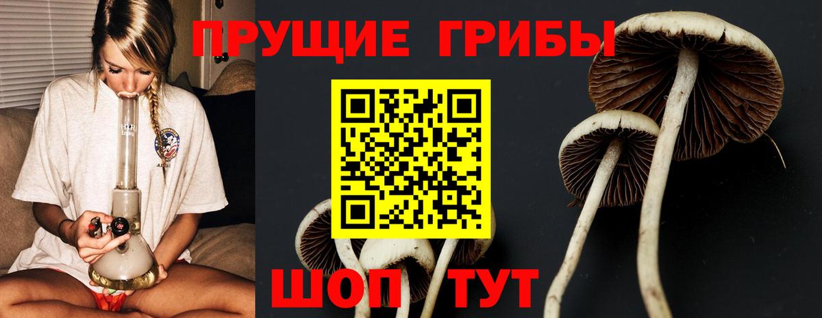 Галлюциногенные грибы Psilocybine cubensis  Псилоцибиновые грибы Cubensis  Костомукша 