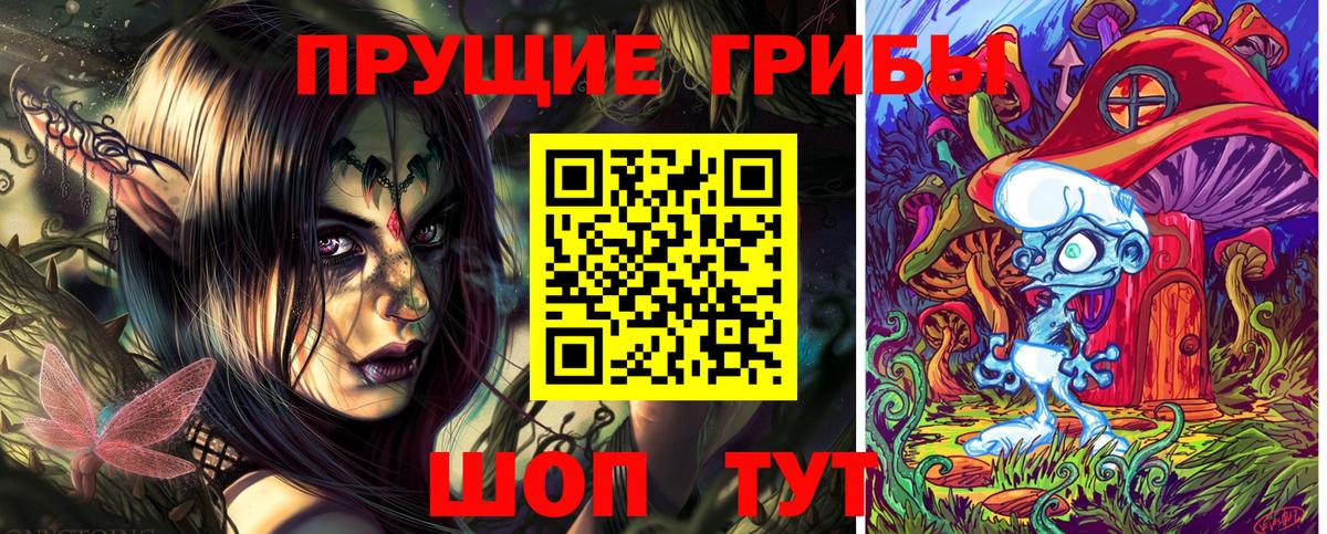 Костомукша  Галлюциногенные грибы Psilocybine cubensis  Вход с VPN 