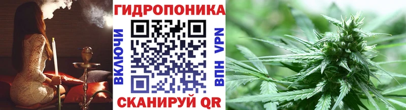 это Telegram Костомукша Бошки Шишки планчик